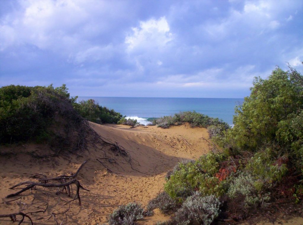 Natural Parks on the coast of Val di Cornia